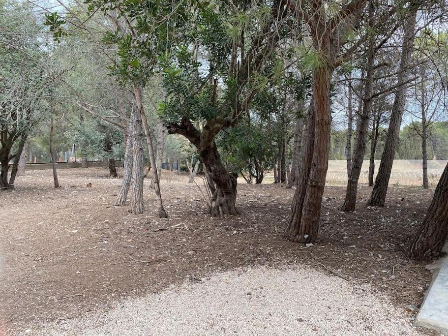 Вилла Masia Con Bosque Privado Албинана Экстерьер фото